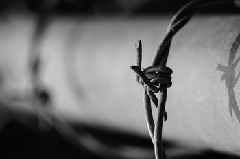 barbed-wire-1899854_640.jpg